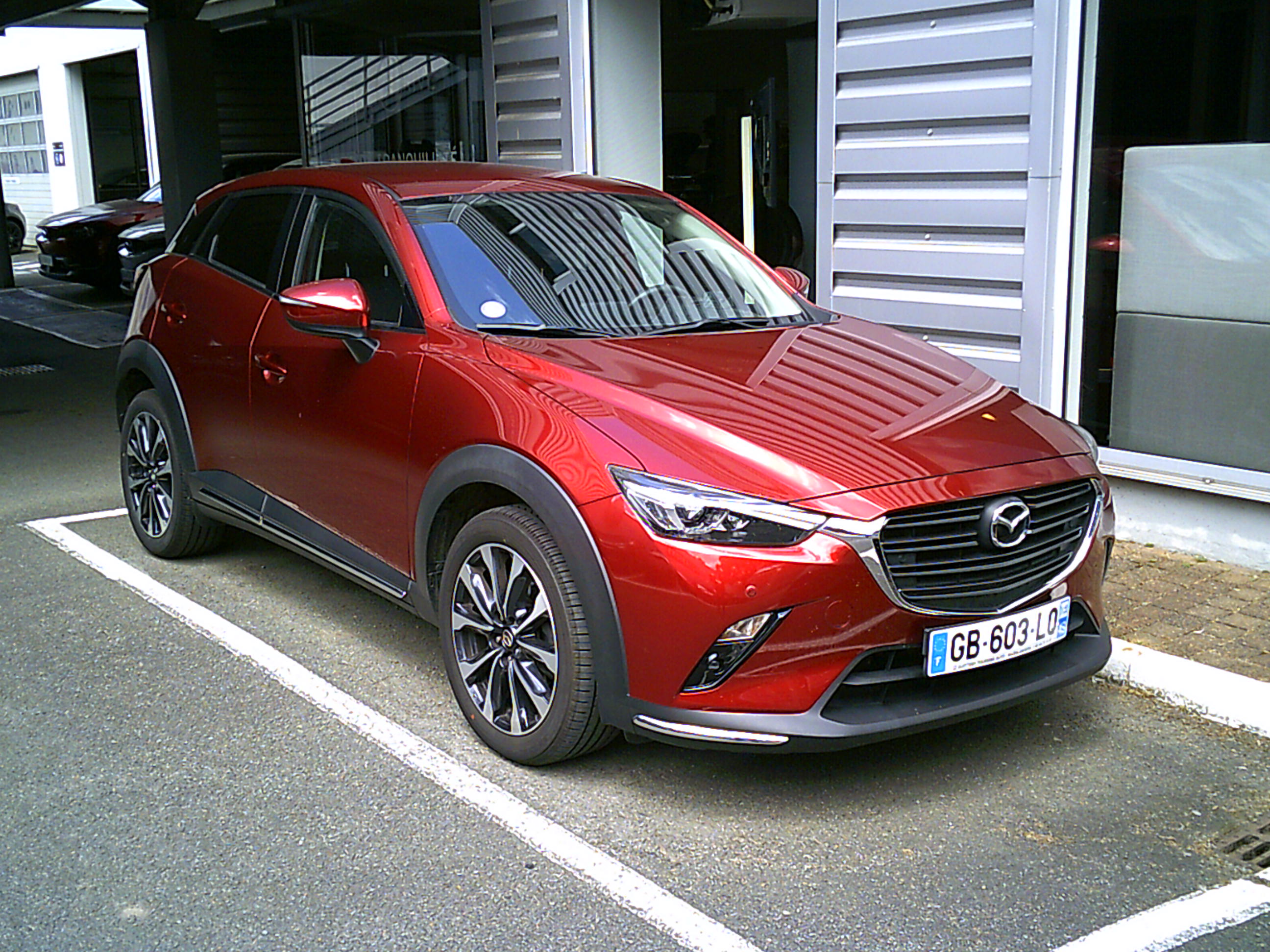 cx-3